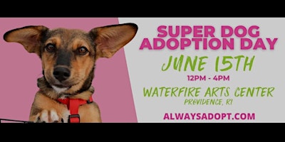 Super dog adoption day primary image