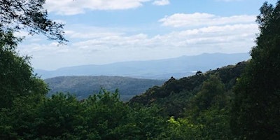 Hauptbild für Olinda Falls and Valley 14-16km Dandenong Ranges Circuit, 27th of Apr, 2024