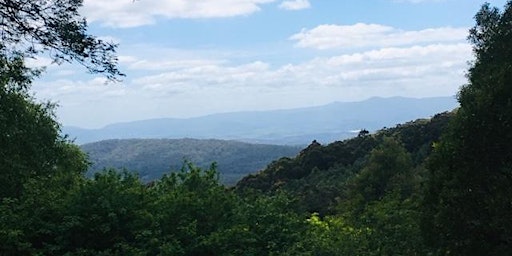 Hauptbild für Olinda Falls and Valley 14-16km Dandenong Ranges Circuit, 27th of Apr, 2024