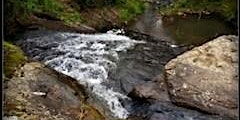 Hauptbild für Masons Falls 16km Kinglake Circuit on the 4th of May, 2024