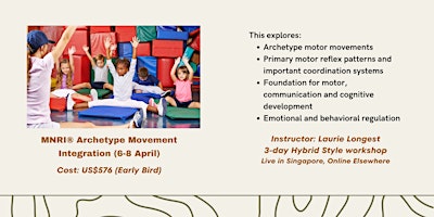 MNRI® Archetype Movement Integration primary image