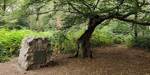 Primaire afbeelding van A stroll in the Forest at Walthamstow-Epping Forest Guided Walk