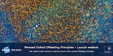 Imagem principal do evento Revised Oxford Offsetting Principles – Launch webinar