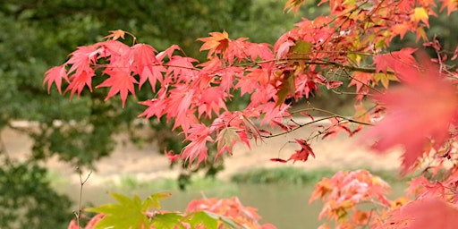 Photography Morning at the Yorkshire Arboretum primary image