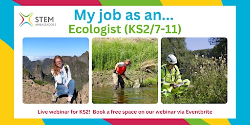 Imagem principal do evento My job as an ecologist (KS2/ 7-11)