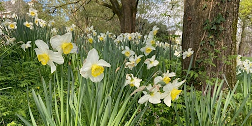 Primaire afbeelding van That Friday Feeling Outdoor Netwalk - Friday 26th April