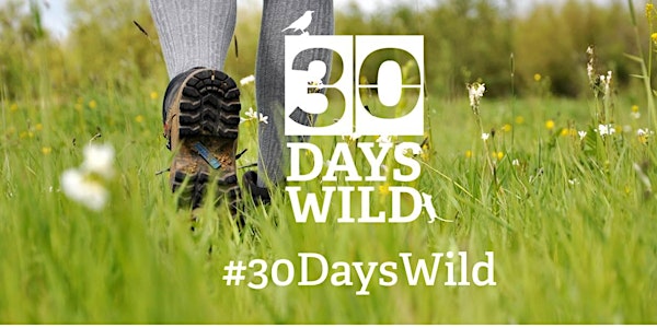 30 Days Wild Workshop