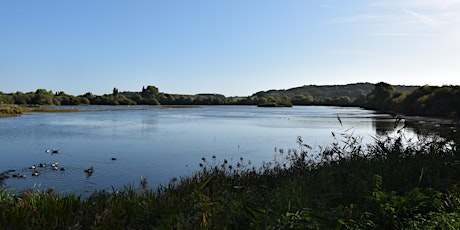 Nature Spotting Walk