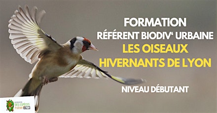 #Formation spécial bénévole RBU oiseaux urbains