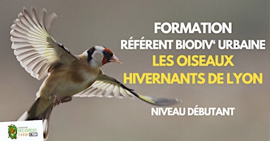 #Formation spécial bénévole RBU oiseaux urbains primary image