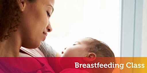 Imagem principal do evento Breastfeeding Basics (Midlands)