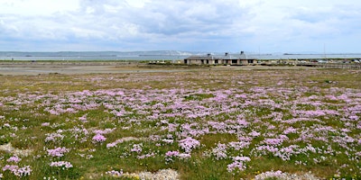 Beginners Nature Photography Workshop at Chesil primary image