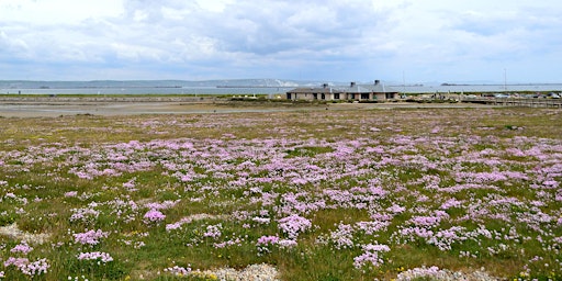 Imagem principal do evento Beginners Nature Photography Workshop at Chesil