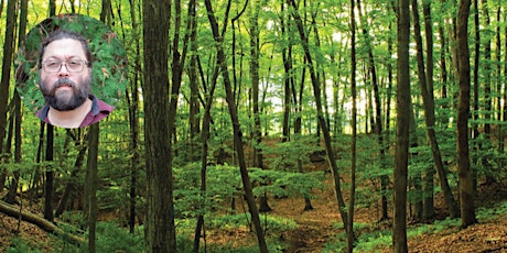 New York Forest Carbon Assessment primary image