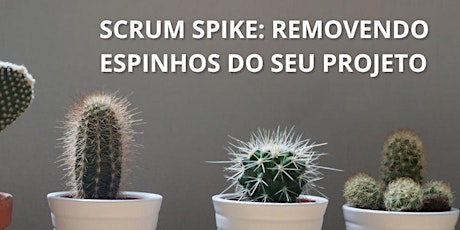 Curso Livre: Scrum Spike, como remover espinhos do seu projeto