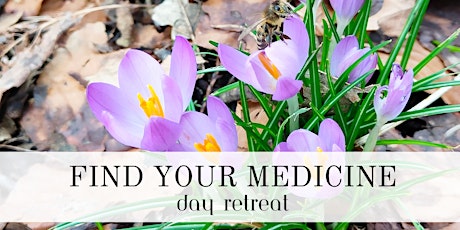 Find Your Medicine Day Retreat