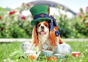 Imagem principal do evento Mad Hatters Dog Afternoon Tea!