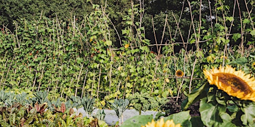 Hauptbild für Growing Food with Head, Heart and Hands