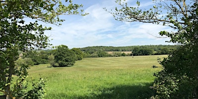 Imagem principal de Nature walk at Gibbets Close Hill reserve, Witney, West Oxfordshire