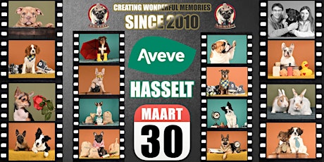 AVEVE HASSELT FOTOSHOOT