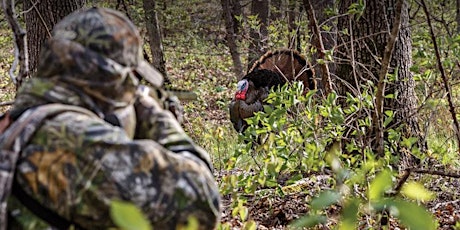 Learn to Hunt Turkey (in-person workshop)