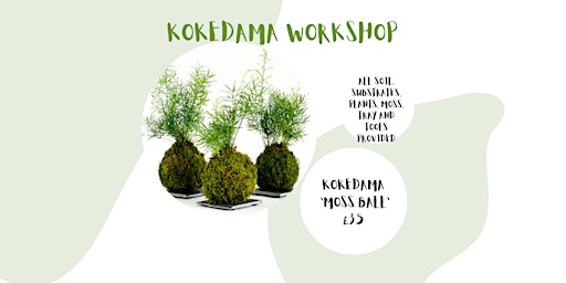 Imagem principal do evento Kokedama Workshop