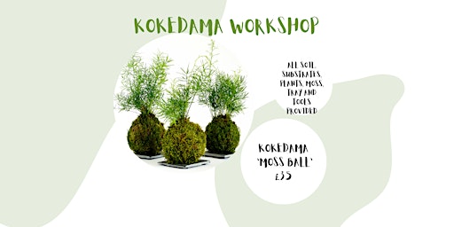 Imagem principal de Kokedama Workshop