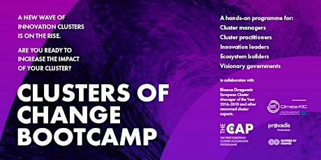 Hauptbild für Clusters of Change Bootcamp