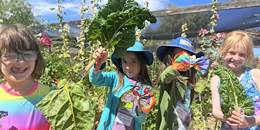 Hauptbild für Sprouts Camp 2024