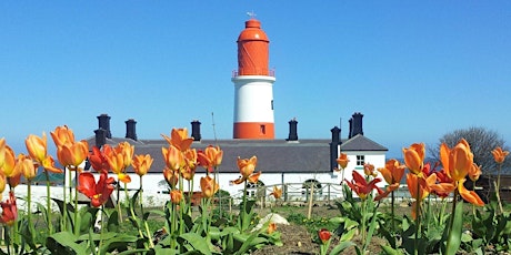 Night Run - experience Souter in a new light 2020 primary image