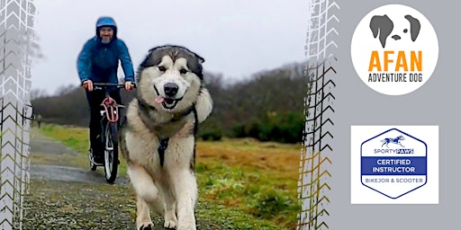 Primaire afbeelding van Introduction to Bikejoring & Dog Scootering