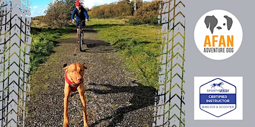 Primaire afbeelding van Introduction to Bikejoring & Dog Scootering