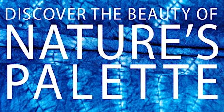 Discover the Beauty of Nature's Palette - Shibori Indigo - Blue