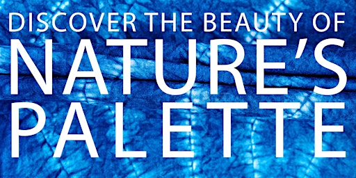 Discover the Beauty of Nature's Palette - Shibori Indigo - Blue primary image
