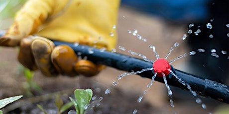 Irrigation Troubleshooting:  a Maintenance Walk and Talk with Erik Blank primary image