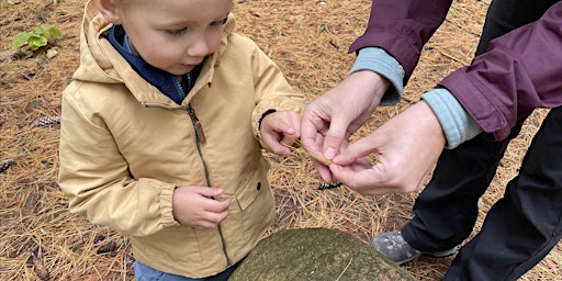 Primaire afbeelding van FANSHAWE NATURE SCHOOL Owls & Owlets (Adult & Child Program)