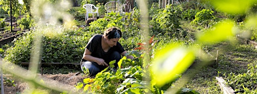 Samlingsbild för Core Area: Gardening and Landscaping
