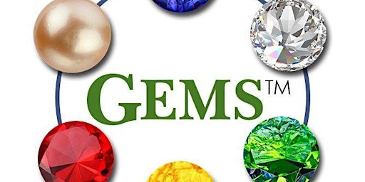 Imagen principal de Teepa Snow GEMS Brain changes Model - Dementia Care