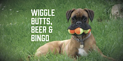 Imagem principal de Wiggle Butts, Beer and Bingo - Charity Event
