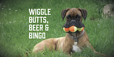 Imagem principal do evento Wiggle Butts, Beer and Bingo - Charity Event