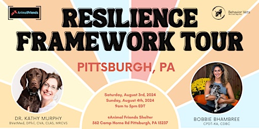 Imagem principal do evento The Resilience Framework - Pittsburgh, PA
