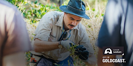 Imagen principal de NaturallyGC: Austinville Valley Landcare- Bush Regeneration