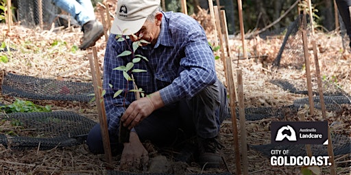 Imagem principal do evento NaturallyGC: Austinville Landcare Tree Planting