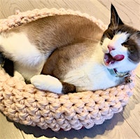 Crochet Pet Bed Workshop  primärbild