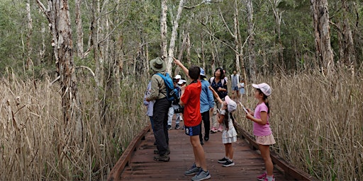 Primaire afbeelding van NaturallyGC Little Ecologists