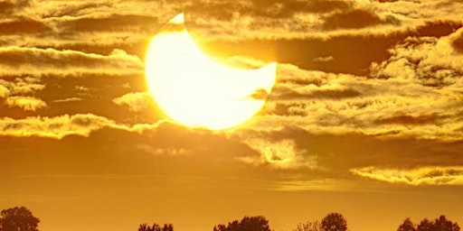 Imagem principal do evento Solar Eclipse Nature Wellness Walk