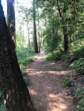 Wellness Walk and Write at Trione-Annadel State Park