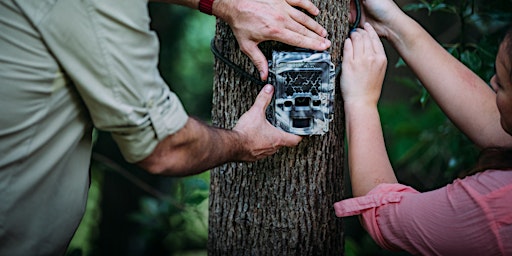 Hauptbild für NaturallyGC- Wildlife Watch Citizen Science