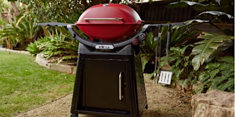 Want to master your new Weber Q?