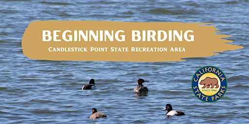 Beginner Birding primary image